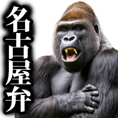 Gorilla in Nagoya dialect
