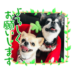 junko_20240122003350
