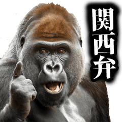Gorilla in Kansai dialect