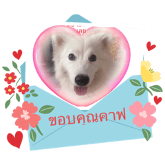 watcharee_20240123025318