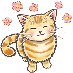 Pop-Up Stickers of Gentle Cats 2 – LINE stickers | LINE STORE