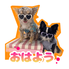 yuuko_20240123052248