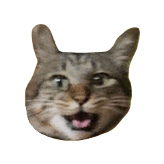 chibby david