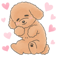 Cute Toy Poodle message Sticker 40