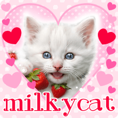 real milky baby cat! sweet lovery!