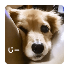 Tomomi_20240123090122