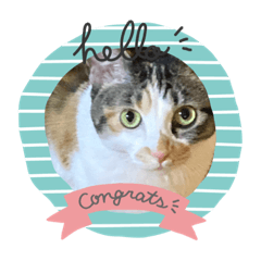 sakura_20240123101126