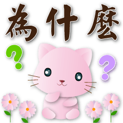 Cute pink cat - daily use