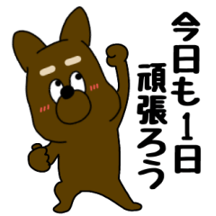 Dog yosikun11