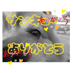 banshu