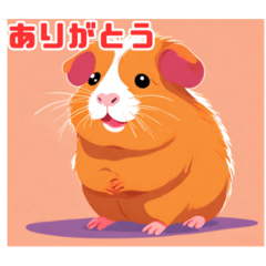 KIYOMI TSUBOI_20240122215840