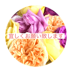 Aozora_20240122235147