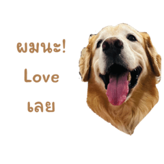 Call me Latte_20240123164108