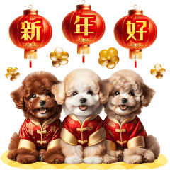 Chinese New Year poodle