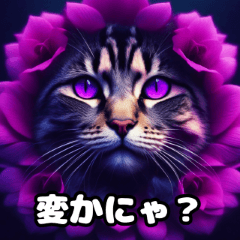 Bunga Kucing