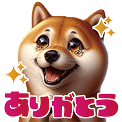 Shiba - Doggy Life