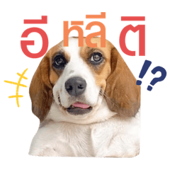 Bbbbbgggg_20240124015811 – LINE stickers | LINE STORE