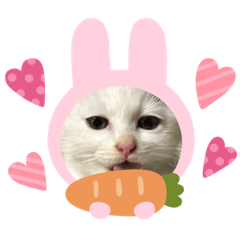 kawamu_20240123223831