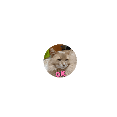 moo_20240124112858