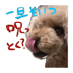 tori_20240124011228