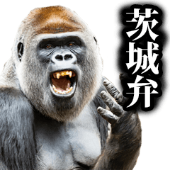 Gorilla in Ibaraki dialect