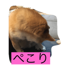 kana_20240124110246