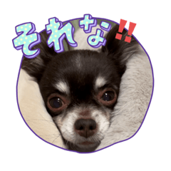 Dora_20240124123516
