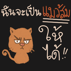 An angry orange cat ver3