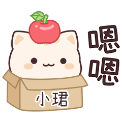 Star_Cat2_01842_SIAO JYUN