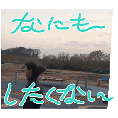 kaede_20240124223857