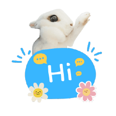 Rabbit Sticker by Pukpik