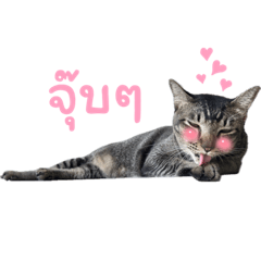 PongPaeng_20240124220454