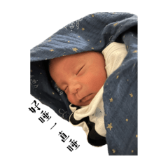 椰果表情包part1