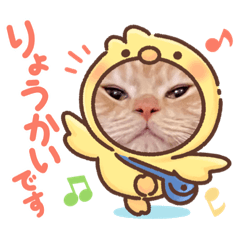 denimaru_20240124230218