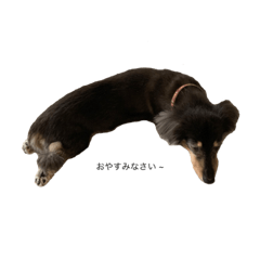 YURI_20240125122915