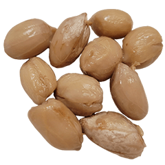 Food Series : Some Peanut #6