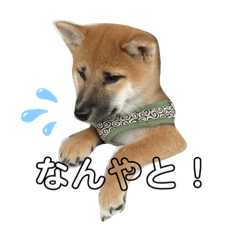 Ntemb_20240124231943