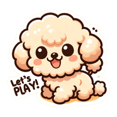 Toy Poodle Daily Life By Kyon