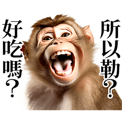 Real Monkeys -Traditional Chinese-