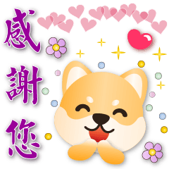 Cute Shiba Inu-Daily Phrases