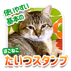 Basic Rescue cat Stickers