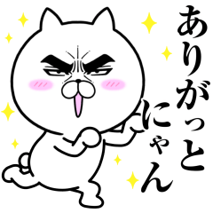 Attractive eye's cat vol.23
