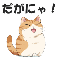Cats speaking Nagoya Dialect