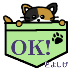 Toyoshige's Pocket Cat's