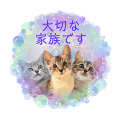 Tenuleopon_ Cat's day sticker