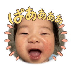 Sakura_20240125162626