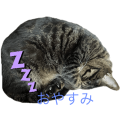 yuri_20240125194930