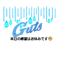 kotakeguts