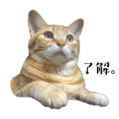 Sakura_20240126020020