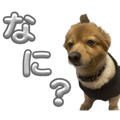 KANA_20240125233703